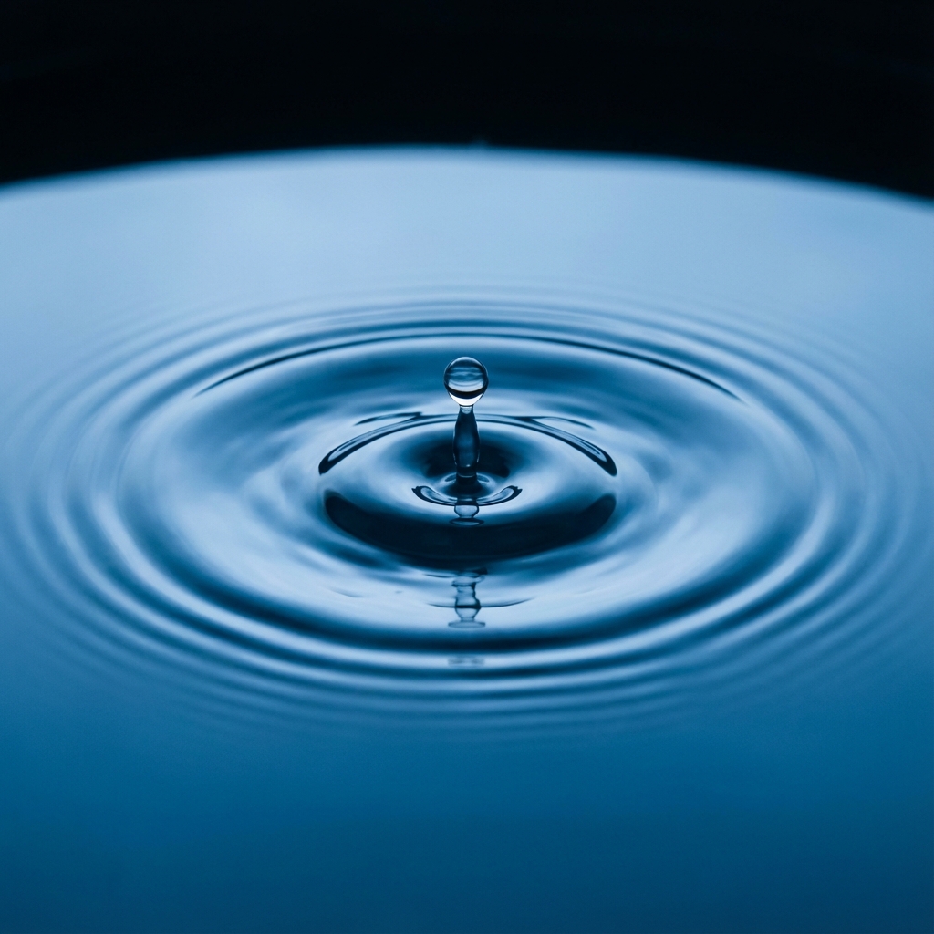 Focused work environment